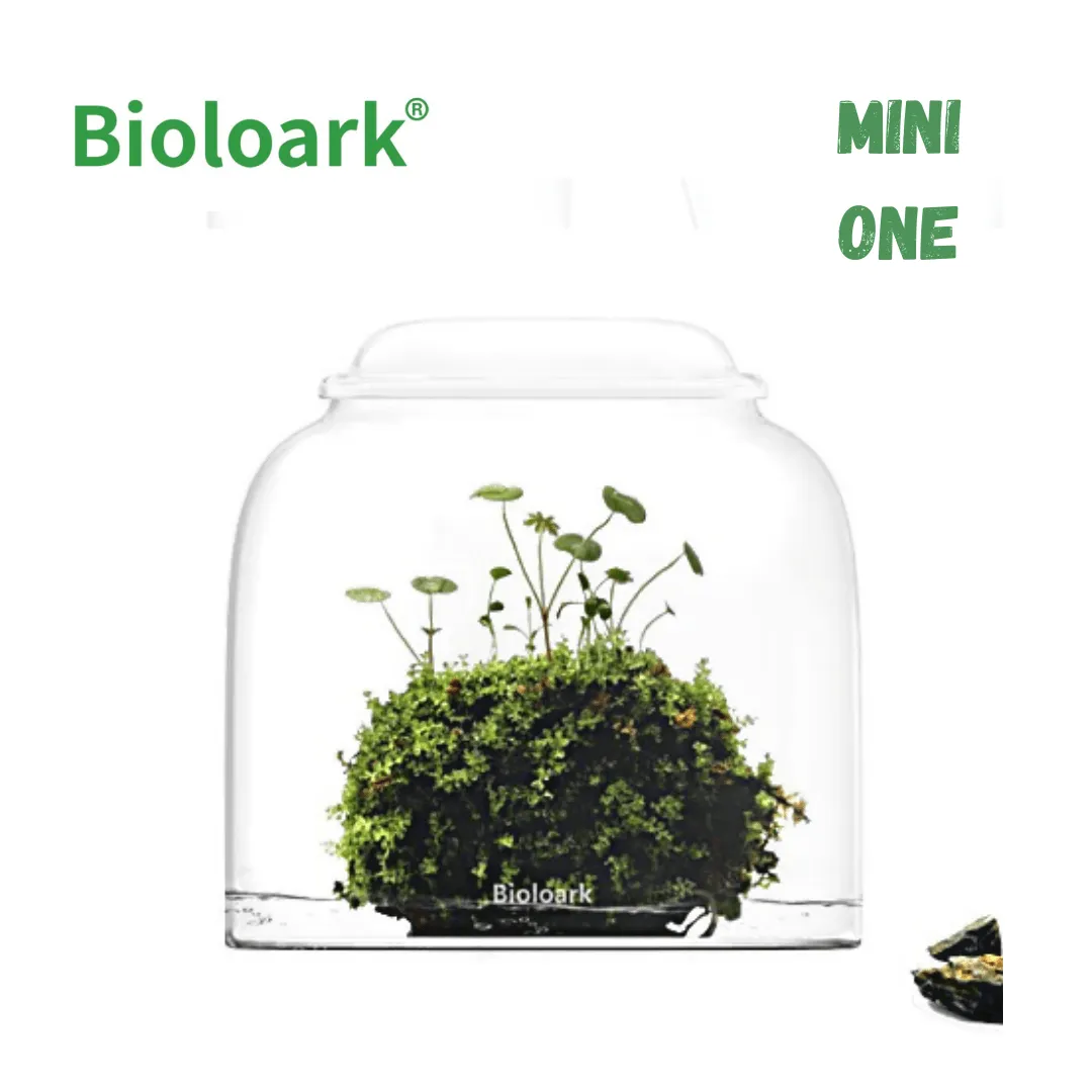 BIOLOARK Mini Bubble Cup Series (One/ Three Cup) - (Landscape Creation)