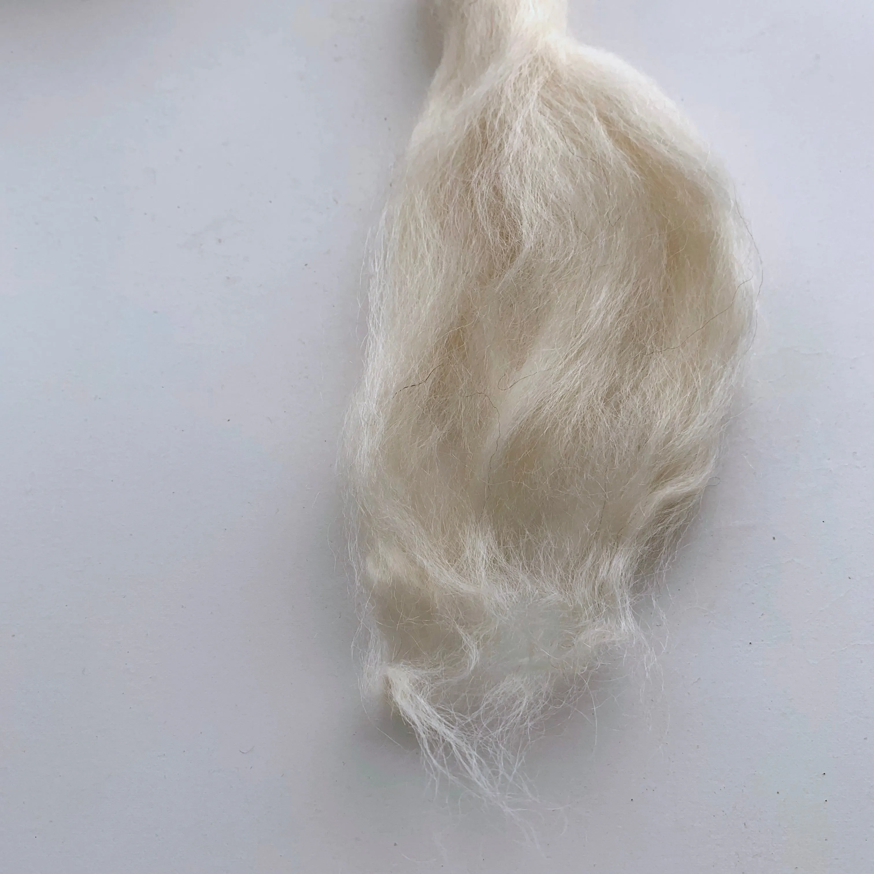 Natural, Undyed Fibers