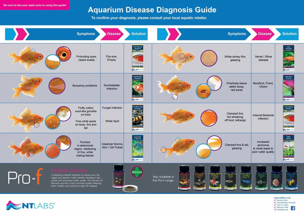 NT LABS Aquarium Anti-White Spot & Fungus