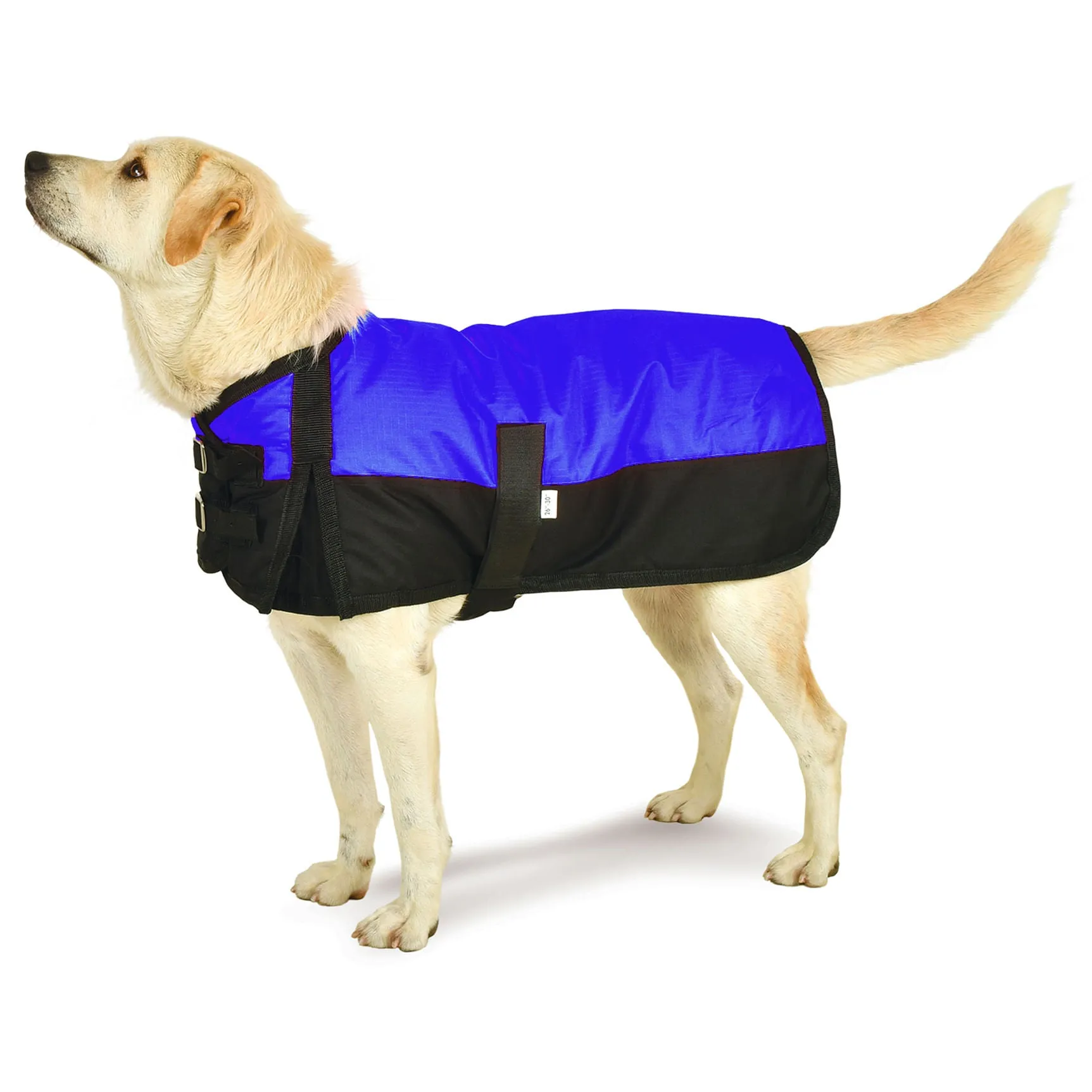 Premium Winter Dog Coat by Jeffers