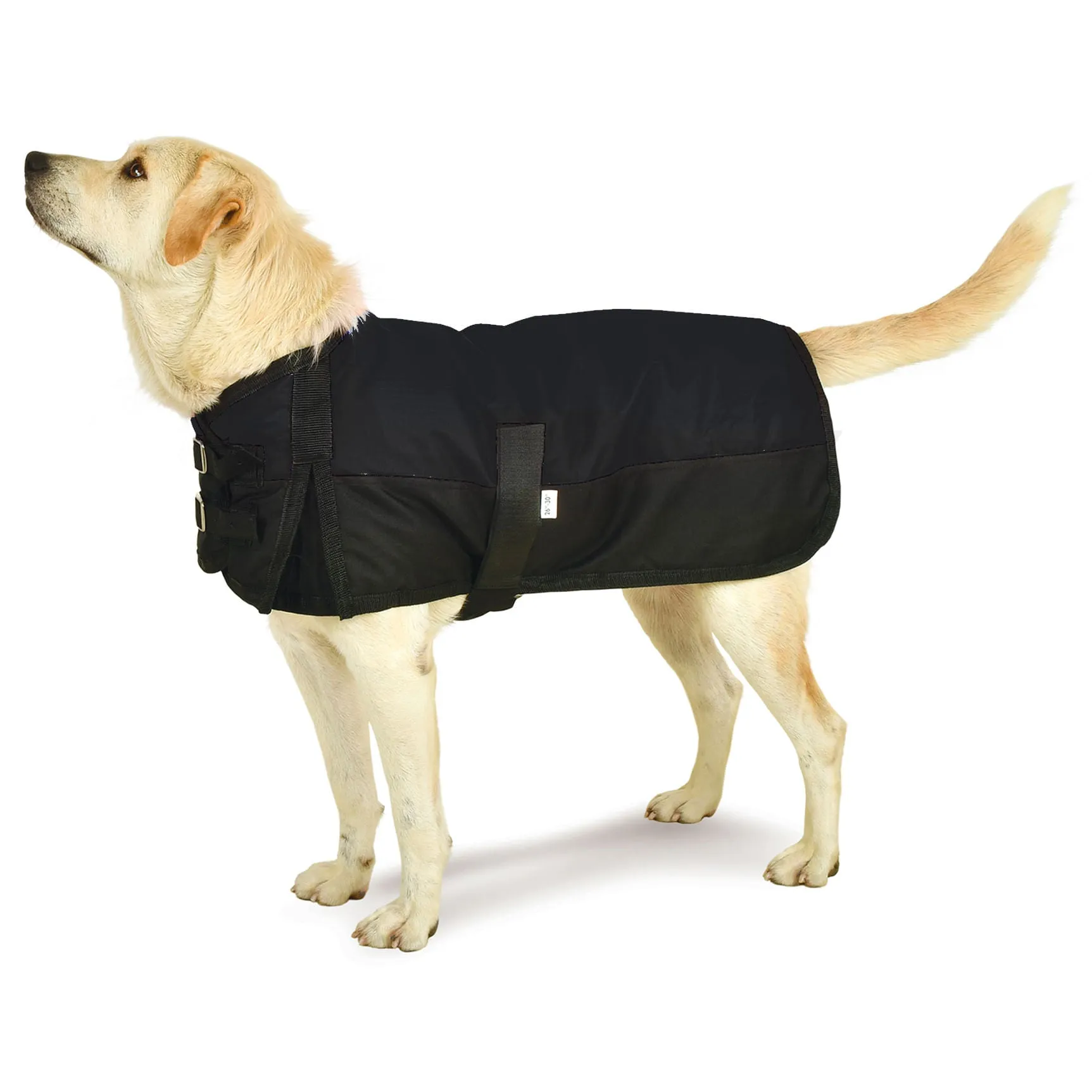 Premium Winter Dog Coat by Jeffers