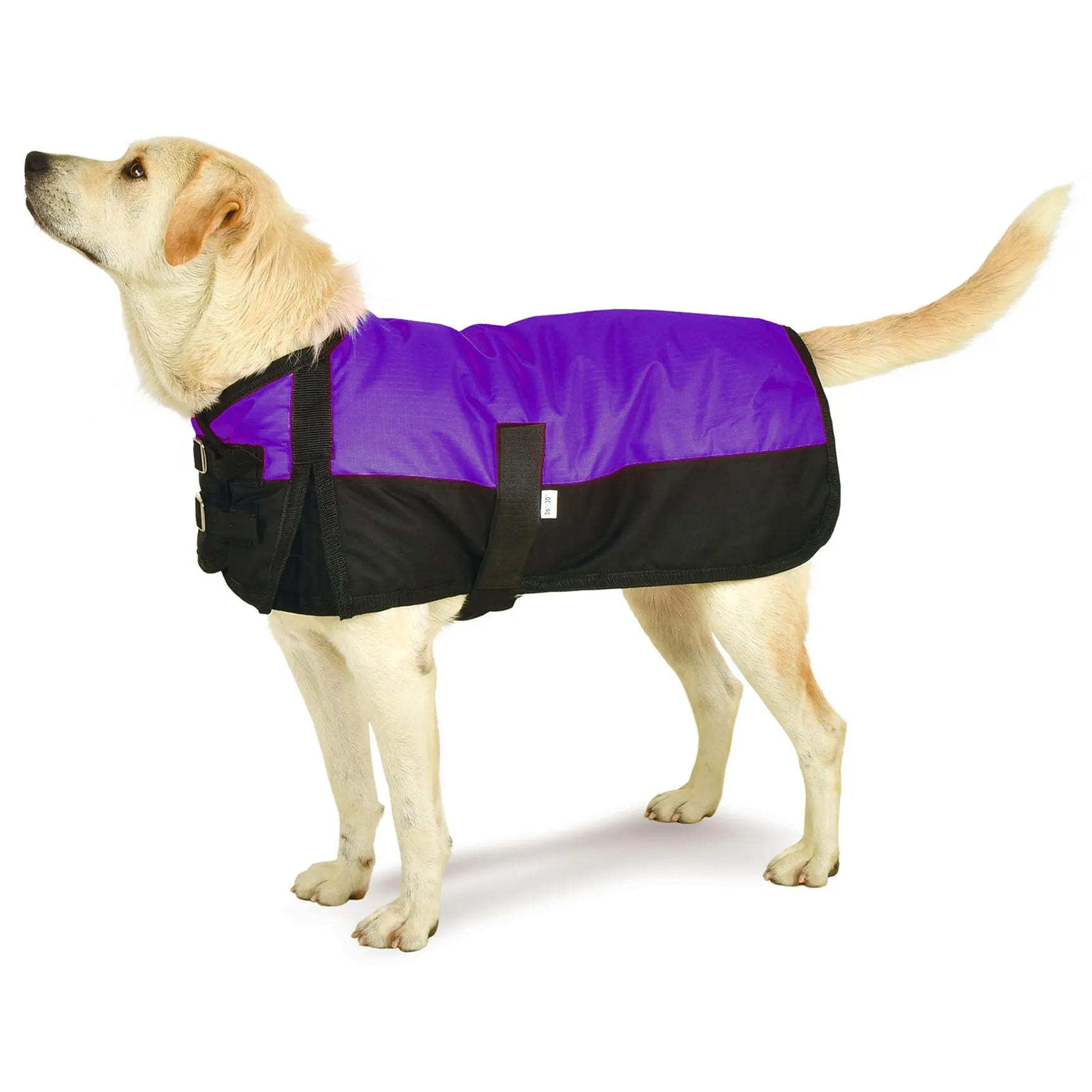 Premium Winter Dog Coat by Jeffers